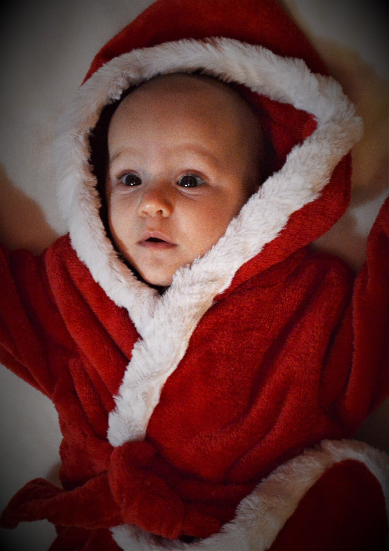 portrait of newborn christmas